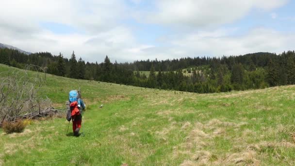 Filmato Bel Giovane Trekking Nella Foresta Montana — Video Stock