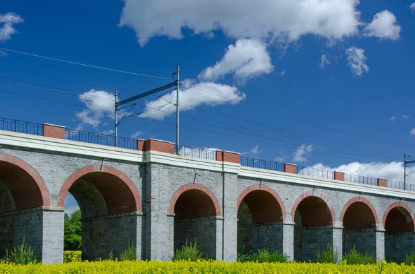 Μια Όμορφη Σκηνή Του Τύπου Γέφυρα Viaduct Περιβάλλεται Από Πράσινα — Φωτογραφία Αρχείου