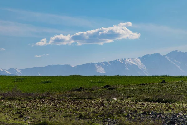 モロッコ エサオイラの広大な緑の風景の上に美しい青空 — ストック写真