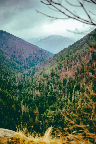 Gyönyörű Táj Sűrű Fák Borítja Hatalmas Dombok Tomasovsky View Szlovákiában — Stock Fotó