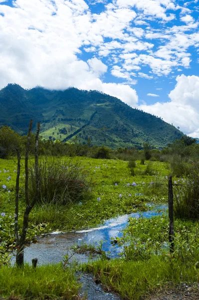 Montañas Cubiertas Nubes Baja Verapaz Guatemala — Foto de Stock