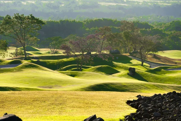 Schöner Golfplatz Bei Sonnenaufgang Mit Sonnenlicht Beleuchtet Grünfläche Vor Der — Stockfoto