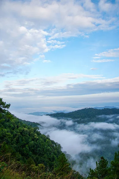 Una Hermosa Toma Nubes Delgadas Bosque Montaña —  Fotos de Stock