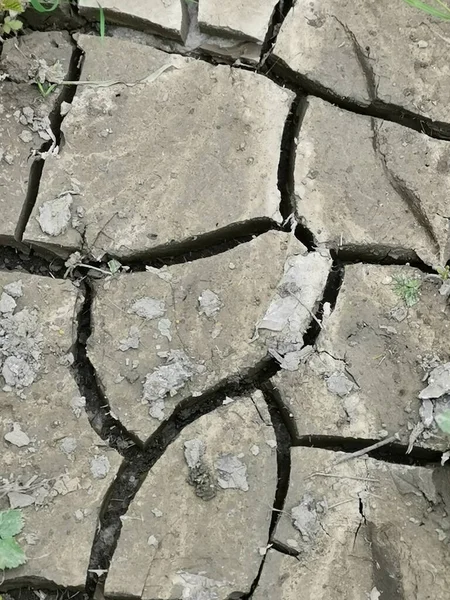 Eine Vertikale Nahaufnahme Eines Trockenen Rissigen Bodens — Stockfoto