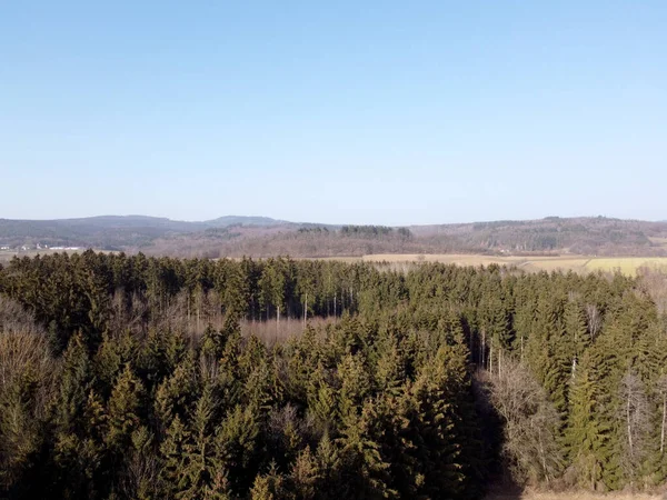Tiro Aéreo Uma Floresta Pinheiros Com Montanhas Fundo — Fotografia de Stock