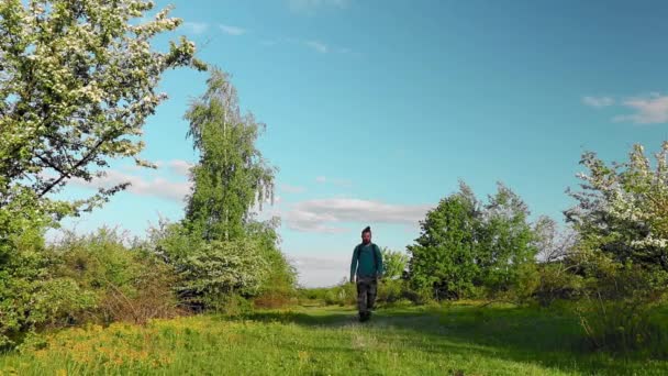 Zdjęcia Przystojnego Młodzieńca Trekking Górskim Lesie — Wideo stockowe