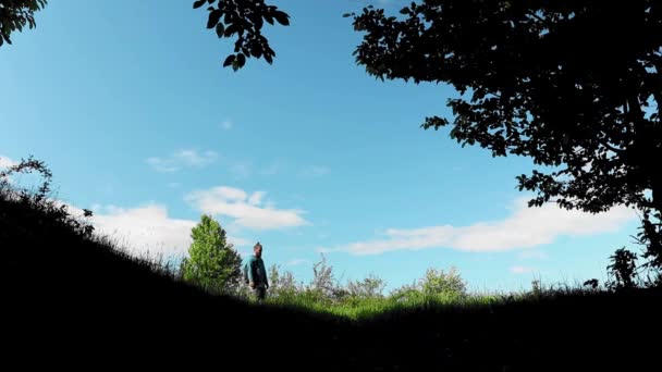 Záběry Pohledný Mladý Muž Trekking Horském Lese — Stock video