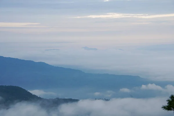 秋の緑の森の巨大な雲 — ストック写真