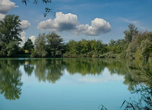 Orman Ağaçlarıyla Çevrili Güzel Bir Göl Manzarası — Stok fotoğraf