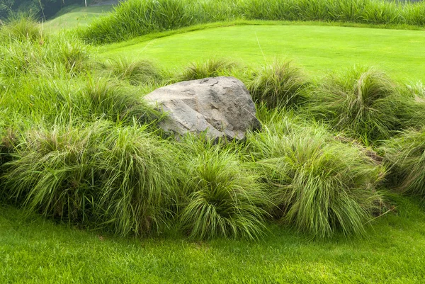 Krásné Golfové Hřiště Osvětlené Slunečním Světlem Při Východu Slunce Zelené — Stock fotografie