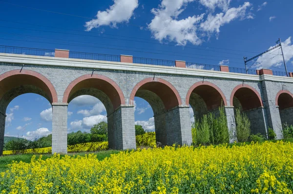 Eine Schöne Szene Von Viadukt Art Von Brücke Umgeben Von — Stockfoto