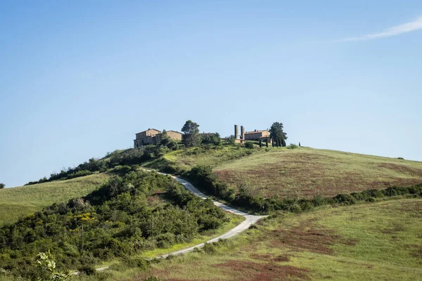 Agriturismi Una Collina Toscana — Foto Stock