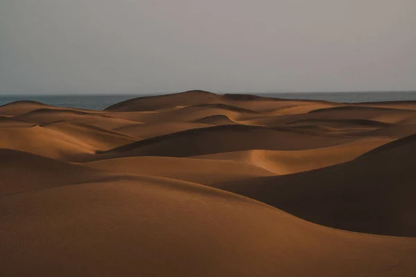 Крупный План Красивого Пейзажа Пустыни — стоковое фото