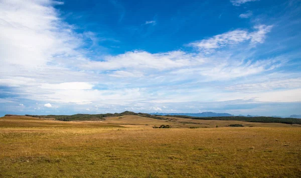 Una Vasta Area Con Vegetazione Secca Nella Zona Rurale Brasile — Foto Stock