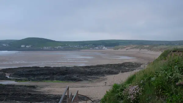 Plan Angle Élevé Paysage Avec Lac Séché Plantes Vertes Sur — Photo