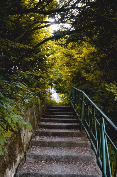 Tiro Vertical Dos Degraus Pedra Que Vão Para Cima Parque — Fotografia de Stock