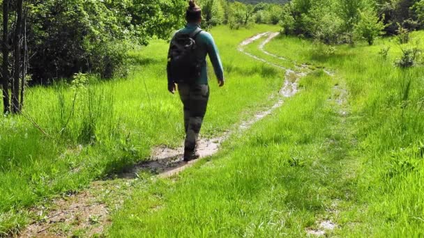 山の森でのハンサムな青年のトレッキングの映像 — ストック動画