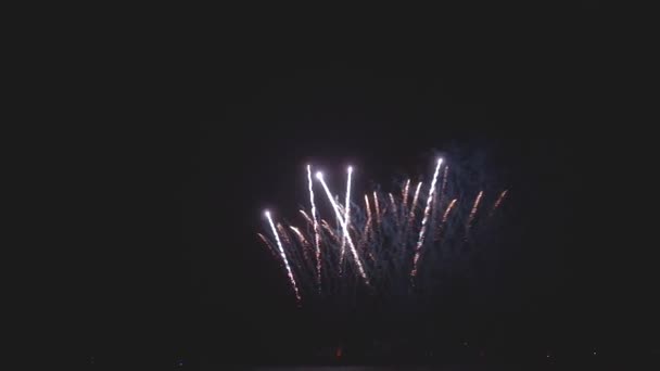 Fuegos Artificiales Cielo Nocturno — Vídeos de Stock