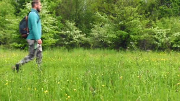 Filmaufnahmen Eines Gutaussehenden Jungen Mannes Beim Trekking Bergwald — Stockvideo