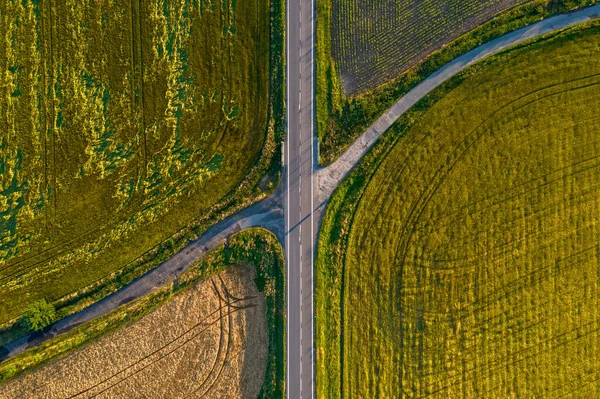 Uma Vista Aérea Uma Estrada Através Campos Agrícolas Verdes — Fotografia de Stock