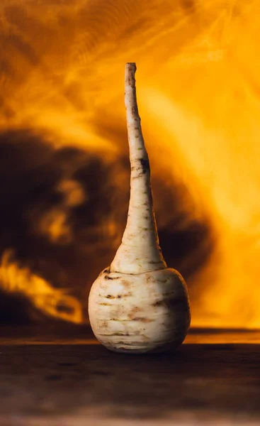 A vertical close up shop of a parsnip standing on a brown table with yellow shining background