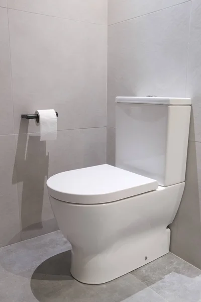 Sebuah Gambar Vertikal Dari Toilet Dan Kertas Toilet Pada Gantungan — Stok Foto