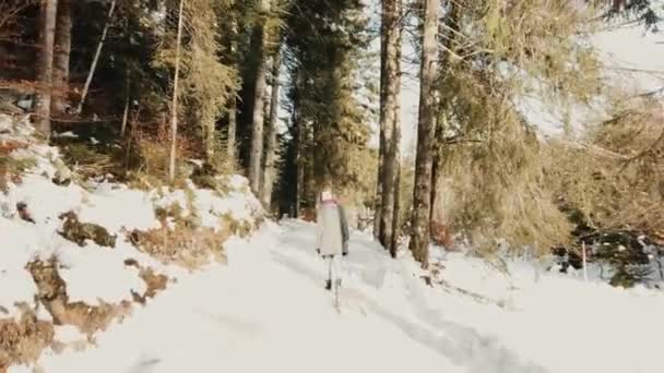 Μια Νεαρή Γυναίκα Περπατάει Στο Δάσος — Αρχείο Βίντεο