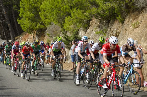 Mijas España 2018 Los Ciclistas Participan Popular Competición Vuelta Mijas — Foto de Stock