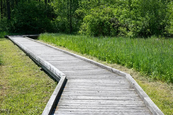 Närbild Träväg Mitt Gräsbevuxen Äng — Stockfoto