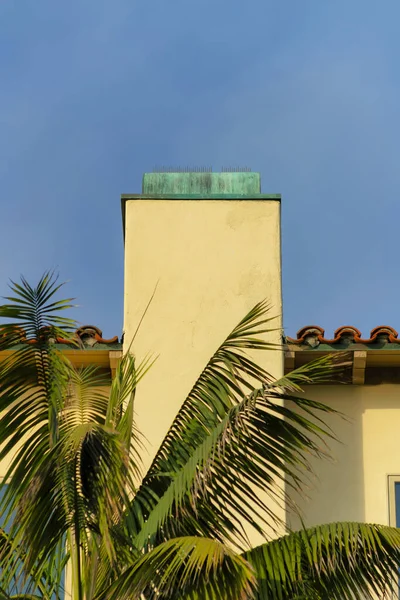 Bir Evin Bacası Palmiye Ağacının Dikey Görüntüsü — Stok fotoğraf
