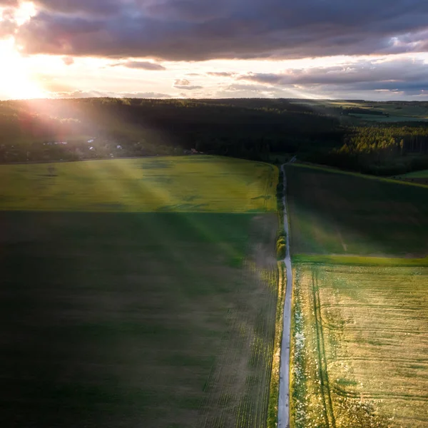 Uma Vista Aérea Uma Estrada Através Campos Agrícolas Verdes — Fotografia de Stock