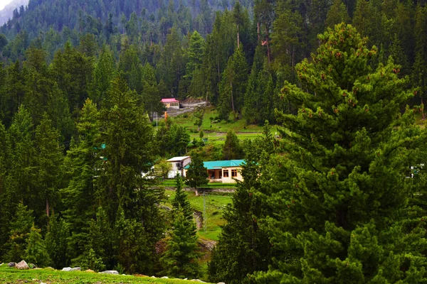 Una Casa Con Techo Verde Bosque Montaña — Foto de Stock