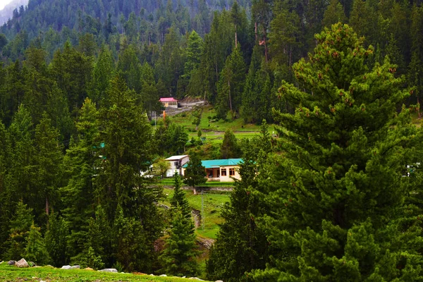 Ein Haus Mit Begrüntem Dach Wald Auf Dem Berg — Stockfoto