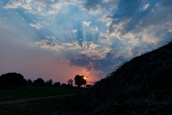Una Hermosa Puesta Sol Cielo Nublado Con Siluetas Árboles — Foto de Stock
