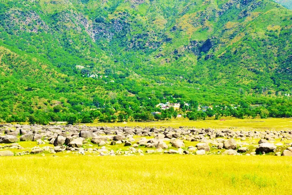 Pasto Una Zona Montañosa Día Soleado — Foto de Stock