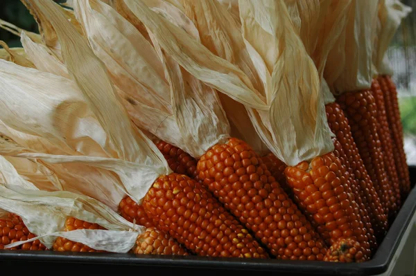 Closeup Shot Dried Orange Corns Husks Basket — Stock Photo, Image