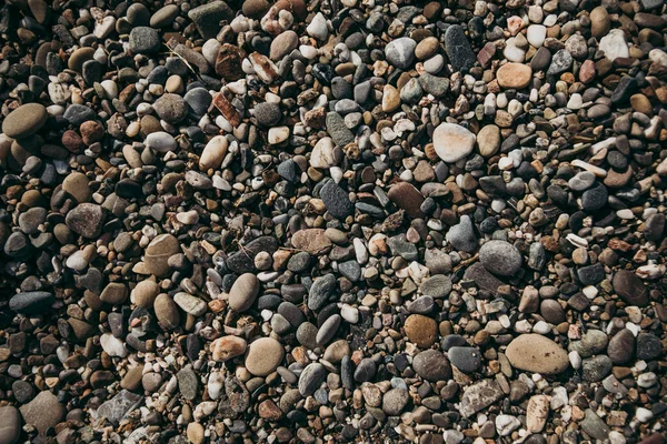 Ein Schuss Kieselsteine Auf Dem Boden Einem Sonnigen Tag — Stockfoto