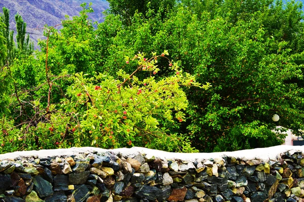 Una Cerca Pared Serpenteante Hecha Por Los Montones Piedras Una —  Fotos de Stock