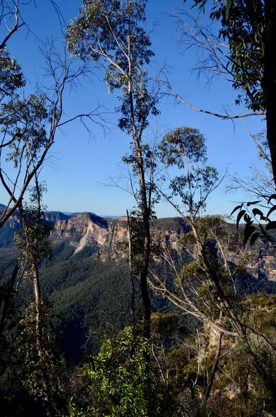 Uma Vista Cliff Top Walking Track Blackheath Nas Montanhas Azuis — Fotografia de Stock