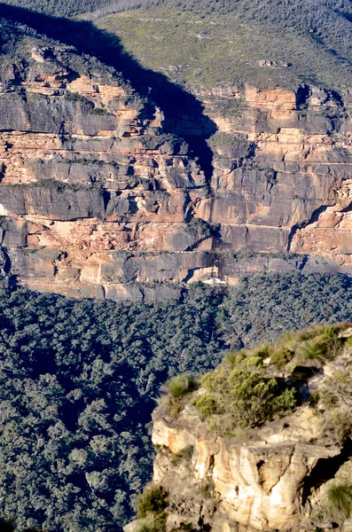 Вид Тропы Cliff Top Walking Trak Блэкхите Голубых Горах Австралии — стоковое фото