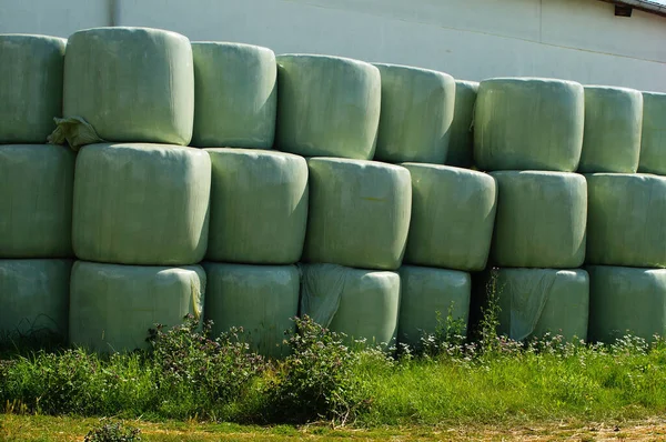 Hermetically Wrapped Polyfoil Hay Ensiled Winter Fodder Farm Royalty Free Stock Photos