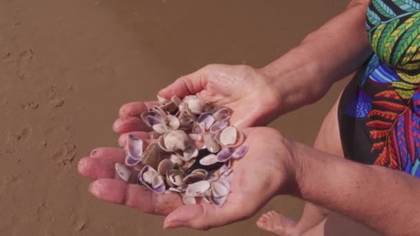 Жіночі Руки Тримають Маленьку Миску Води — стокове відео