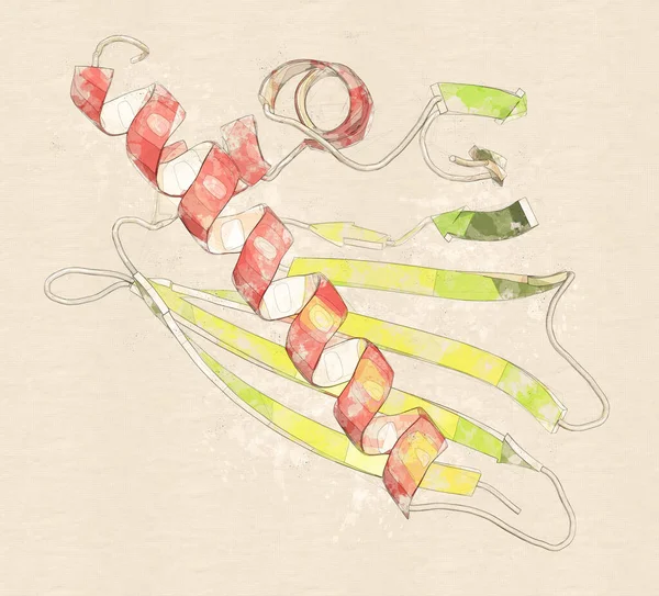 白樺花粉アレルゲンタンパク質ベットV1 3Dレンダリング 二次構造着色と漫画表現 緑のシート 赤いヘリックス — ストック写真
