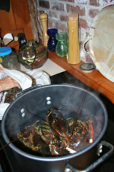 Tiro Vertical Cozinhar Uma Lagosta Grande Uma Caldeira Seattle — Fotografia de Stock