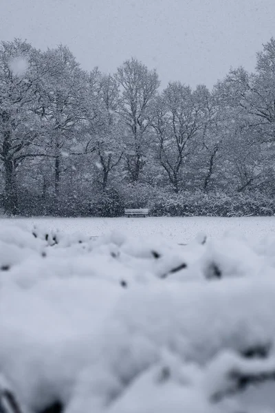 Hampshire Vereinigtes Königreich Januar 2021 Eine Parkbank Bordon Isoliert Einem — Stockfoto