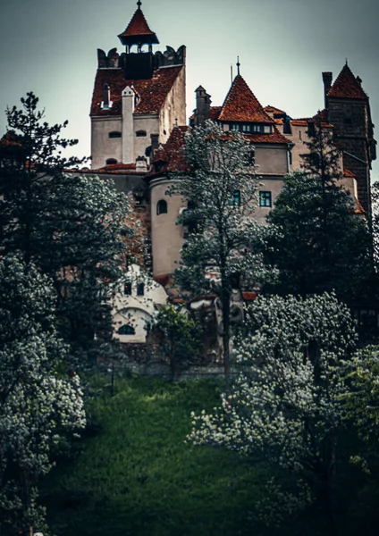 Una Vertical Del Histórico Castillo Bran Colina Bran Rumania —  Fotos de Stock