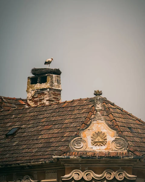 지붕에 둥지에 황새의 — 스톡 사진