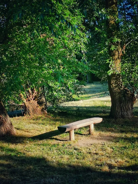 Samotna Drewniana Ławka Spokojnym Terenie Otoczona Bujnymi Drzewami — Zdjęcie stockowe