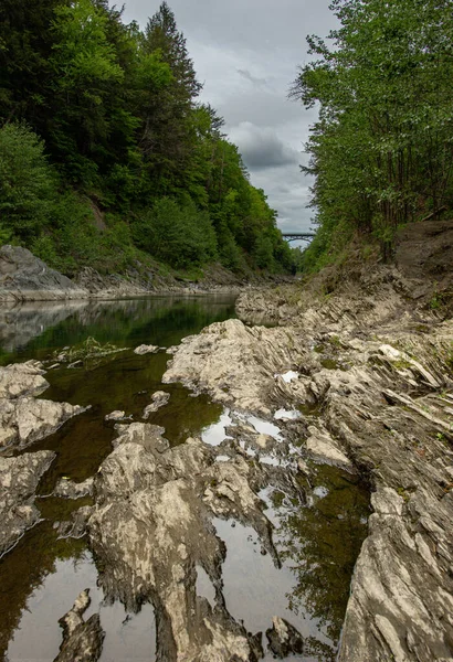 Een Verticaal Schot Van Rivier Stroomt Door Het Bos — Stockfoto