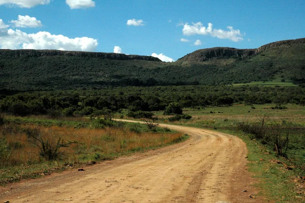 Довга Звивиста Ґрунтова Дорога Звивається Віддалі Південно Африканський Ігровий Парк — стокове фото